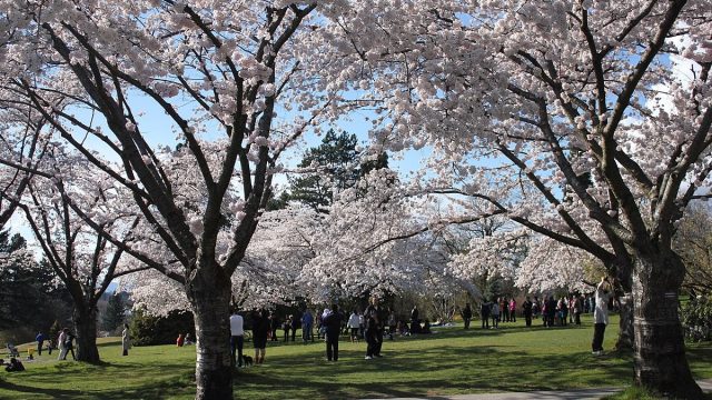 افضل أنشطة في حديقة اليزابيث زيلامسي