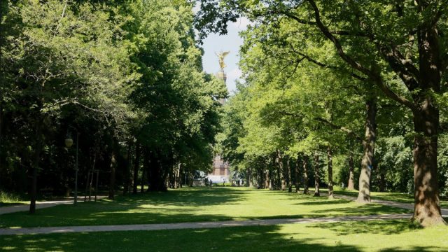 افضل انشطة في حديقة الشريعة البليدة