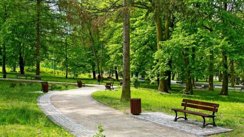 افضل أنشطة في منتزه الملك عبدالله الدمام