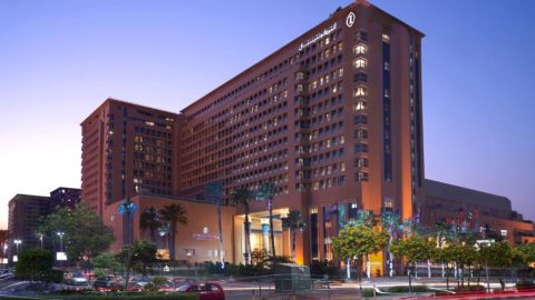 تقرير عن سلسلة فندق انتركونتننتال القاهرة