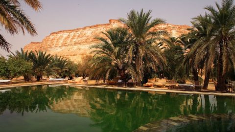 السياحة في الواحات المصرية