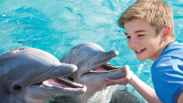 أفضل أنشطة في عالم البحار سان دييغو