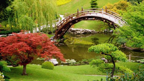 اجمل المناظر الطبيعية في ماليزيا ننصحكم بزيارتها