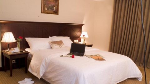 تقرير عن فندق توليب ان الرياض