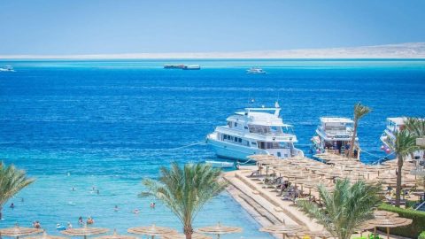 أفضل أنشطة في منتجع غواصين بحر الصحراء في جدة