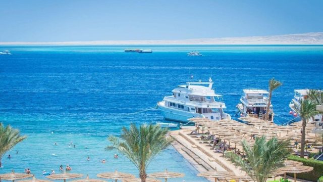 أفضل أنشطة في منتجع غواصين بحر الصحراء في جدة