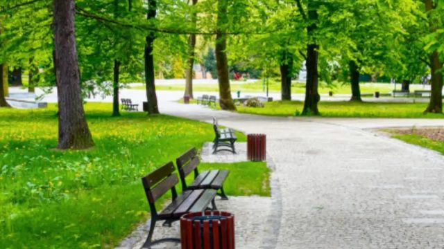 أفضل أنشطة توفّرها لك حديقة الحرية اسطنبول 2024