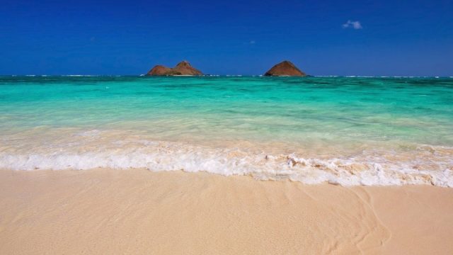 أفضل أنشطة عند زيارة شاطئ الشارقة 2024