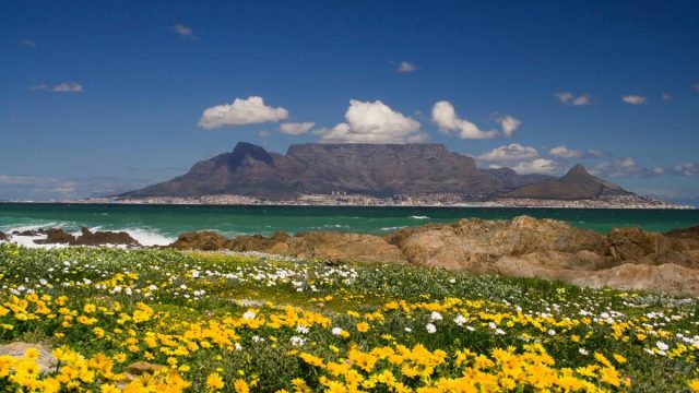 أفضل أنشطة في منتزه جبل الطاولة الوطني كيب تاون 2024