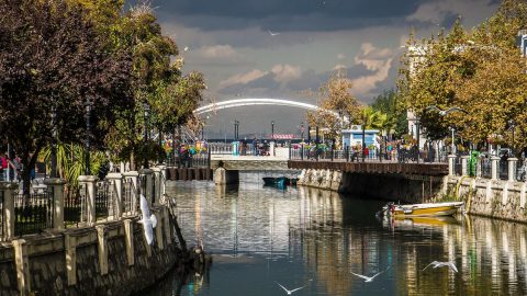 اهم انشطة في قرية ترمال يلوا تركيا 2024