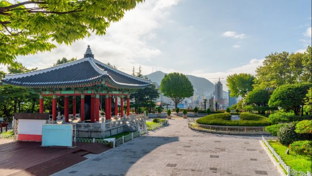 أفضل أنشطة في حديقة اوكبو بوسان 2024