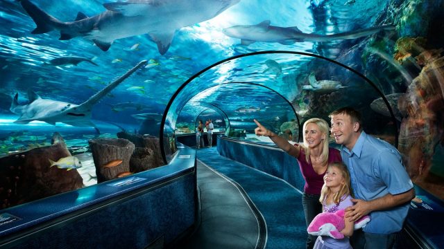 أفضل أنشطة مُتاحة في حوض أسماك ميامي 2024