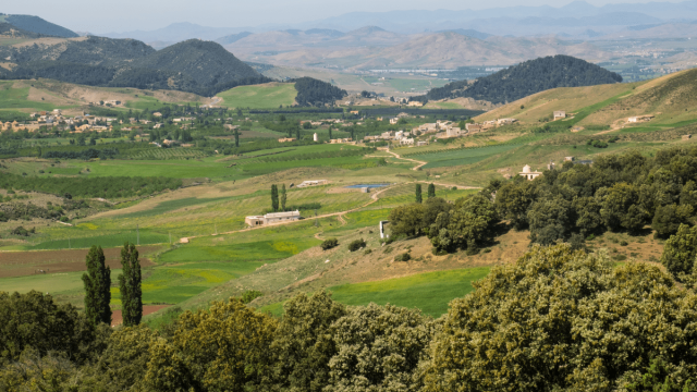 أفضل 8 انشطة عند زيارة زاوية افران المغرب 2024