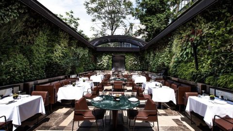 دليل مطعم سيبيتشي اوغلو في يلوا