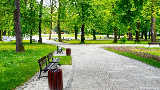 أفضل أنشطة في منتزه سترة البحرين ينصح بتجربتها