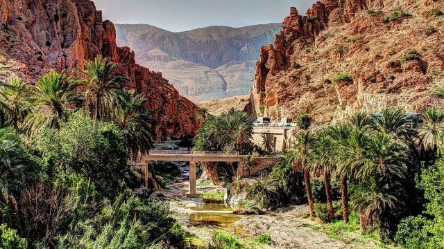 أفضل وجهات السياحة في بسكرة ينصح بزيارتها